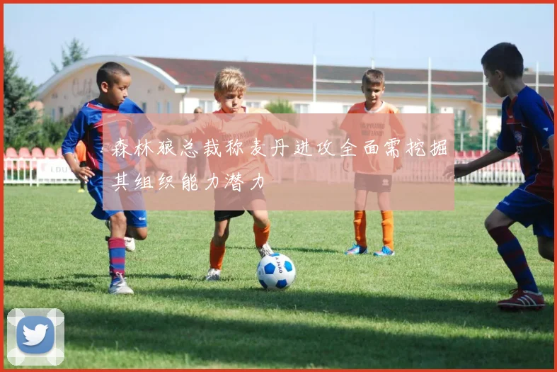 森林狼总裁称麦丹进攻全面需挖掘其组织能力潜力