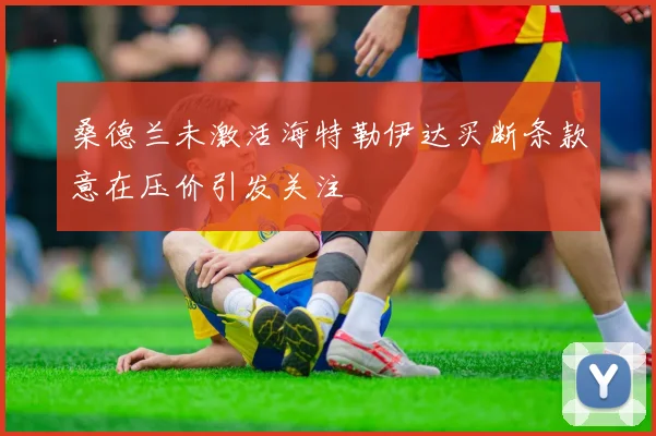 桑德兰未激活海特勒伊达买断条款意在压价引发关注