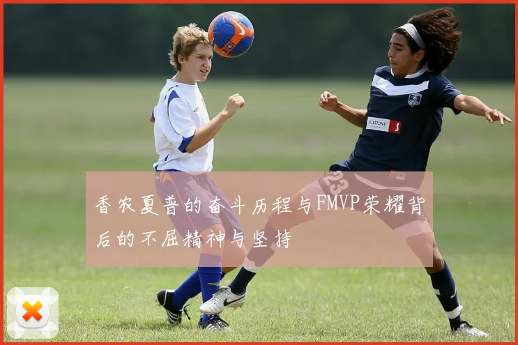 香农夏普的奋斗历程与FMVP荣耀背后的不屈精神与坚持