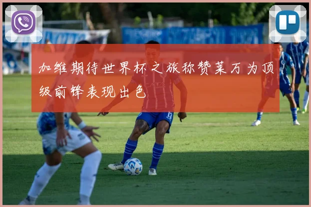 加维期待世界杯之旅称赞莱万为顶级前锋表现出色